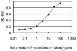 Detection limit for recombinant GST tagged CAMKK2 is approximately 1ng/ml as a capture antibody. (CAMKK2 antibody  (AA 1-130))