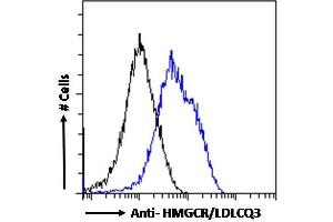 ABIN570699 Flow cytometric analysis of paraformaldehyde fixed A549 cells (blue line), permeabilized with 0.