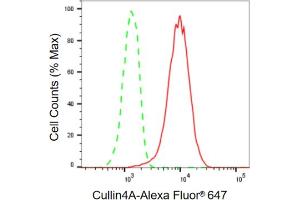 Flow cytometric analysis of Cullin4A expression in HeLa cells using Cullin4A antibody (ABIN7798180), 1:2,000).
