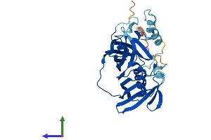 AlphaFold protein structure predicition of Human Recombinant ACOT8 Protein, UniprotID O14734 (ACOT8 Protein (AA 1-319) (His tag))