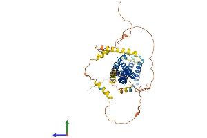 AlphaFold protein structure predicition of Human Recombinant ICA1 Protein, UniprotID Q05084