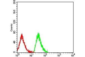 Flow cytometric analysis of MOLT4 cells using EDA2R mouse mAb (green) and negative control (red). (Ectodysplasin A2 Receptor antibody  (AA 1-138))