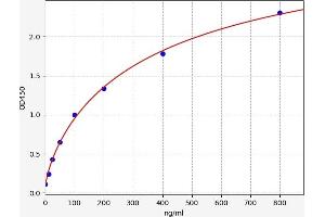 Dopamine Receptor d1 ELISA Kit