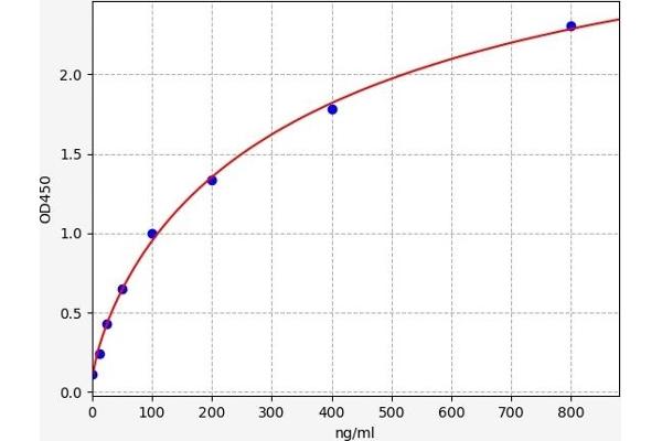 Dopamine Receptor d1 ELISA Kit