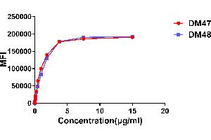 Affinity ranking of different Rabbit anti- mAb clones by titration of different concentration onto Expi 293 cell line transfected with human . (Recombinant ACE2 antibody  (AA 18-740))