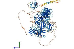 AlphaFold protein structure predicition of Human Recombinant USP47 Protein, UniprotID Q96K76 (USP47 Protein (AA 1-1375) (His tag))