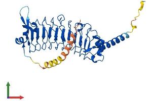 AlphaFold protein structure predicition of Mouse Recombinant Lrrc23 Protein, UniprotID O35125