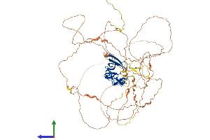 AlphaFold protein structure predicition of Mouse Recombinant Atxn1l Protein, UniprotID P0C7T6