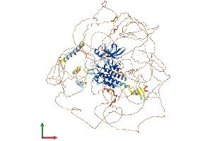 AlphaFold protein structure predicition of Mouse Recombinant Lmtk2 Protein, UniprotID Q3TYD6 (LMTK2 Protein (AA 1-1471) (His tag))