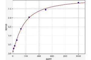 Calcium/calmodulin-Dependent Protein Kinase II (CAMK2) ELISA Kit