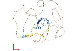 Protein Structure (PS) image for Myocyte Enhancer Factor 2A (MEF2A) (AA 1-507) protein (His tag) (ABIN7554509)