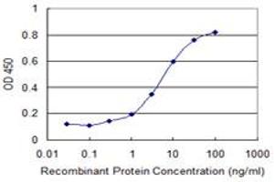 Detection limit for recombinant GST tagged KCNC3 is 0. (KCNC3 antibody  (AA 671-757))
