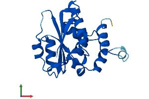 Protein Structure (PS) image for TP53RK Binding Protein (TPRKB) (AA 1-175) protein (His tag) (ABIN7544709)