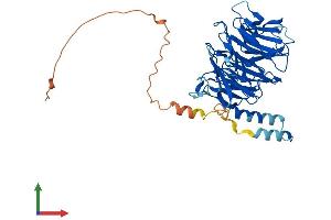 Protein Structure (PS) image for Damage-Specific DNA Binding Protein 2, 48kDa (DDB2) (AA 1-432) protein (His tag) (ABIN7564875)