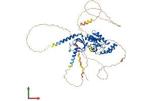 AlphaFold protein structure predicition of Human Recombinant CACNB1 Protein, UniprotID Q02641 (CACNB1 Protein (AA 1-598) (His tag))