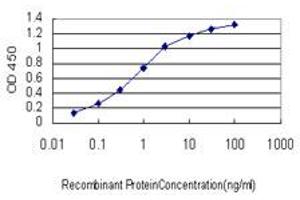 Detection limit for recombinant GST tagged MCPH1 is approximately 0. (MCPH1 antibody  (AA 399-487))