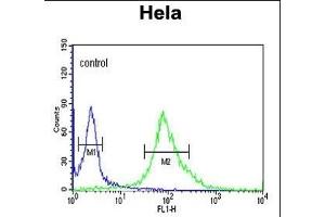 DDX49 Antibody (C-term) (ABIN653921 and ABIN2843155) flow cytometric analysis of Hela cells (right histogram) compared to a negative control cell (left histogram). (DDX49 antibody  (C-Term))