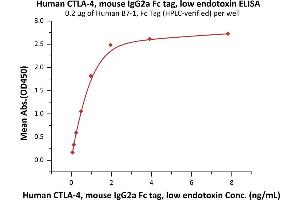 Immobilized Human B7-1, Fc Tag (Hied) (ABIN2180846,ABIN2180845) at 2 μg/mL (100 μL/well) can bind Human CTLA-4, mouse IgG2a Fc tag, low endotoxin (ABIN4949091,ABIN4949092) with a linear range of 0. (CTLA4 Protein (AA 37-162) (Fc Tag))