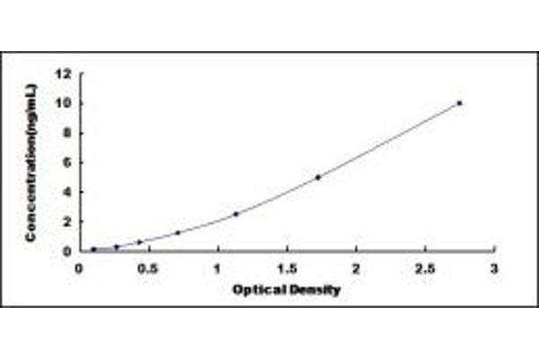 Ephrin A3 ELISA Kit