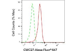 Flow cytometric analysis of CWC27 expression in HeLa cells using CWC27 antibody (ABIN7798183), 1:1,000). (Cwc27 antibody)