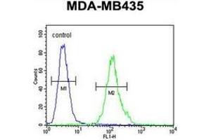 Flow Cytometry (FACS) image for anti-Membrane-Spanning 4-Domains, Subfamily A, Member 4 (MS4A4A) (AA 40-68), (N-Term) antibody (ABIN953523)
