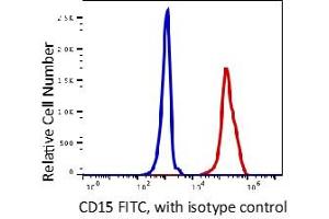 Image no. 2 for anti-Fucosyltransferase 4 (Alpha (1,3) Fucosyltransferase, Myeloid-Specific) (FUT4) antibody (FITC) (ABIN5067827) (CD15 antibody  (FITC))