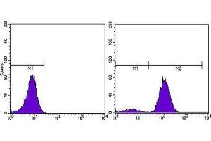 Flow Cytometry (FACS) image for anti-Prostate Specific Antigen (PSA) (AA 26-251) antibody (ABIN2983296) (Prostate Specific Antigen antibody  (AA 26-251))