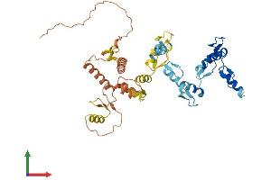 AlphaFold protein structure predicition of Human Recombinant ZNF562 Protein, UniprotID Q6V9R5