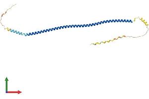 AlphaFold protein structure predicition of Human Recombinant SYCE1L Protein, UniprotID A8MT33