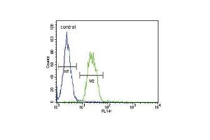 S6A12 Antibody (N-term) (ABIN654460 and ABIN2844193) flow cytometric analysis of MDA-M cells (right histogram) compared to a negative control cell (left histogram). (SLC6A12 antibody  (N-Term))