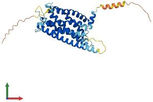 Protein Structure (PS) image for Purinergic Receptor P2Y, G-Protein Coupled, 12 (P2RY12) (AA 1-342) protein (His tag) (ABIN7550544)