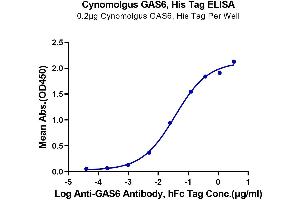 Immobilized Cynomolgus GAS6, His Tag at 2 μg/mL (100 μL/well) on the plate. (GAS6 Protein (AA 31-637) (His tag))