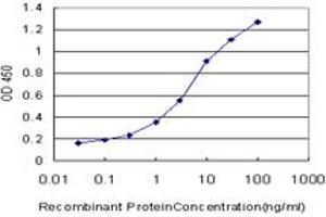 Detection limit for recombinant GST tagged FH is approximately 0. (FH antibody  (AA 33-510))