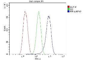 Flow Cytometry analysis of U87 cells using anti-EIF4A antibody (ABIN7601309). (EIF4A1 antibody  (AA 32-406))