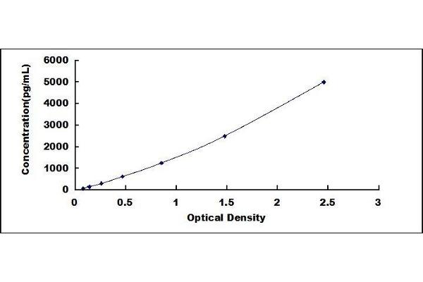 CLIC4 ELISA Kit