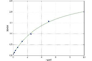 Cathepsin G (CTSG) ELISA Kit