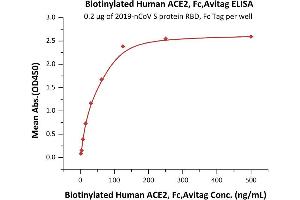 Immobilized 2019-nCoV S protein RBD, Fc Tag (ABIN6952455) at 2 μg/mL (100 μL/well) can bind Biotinylated Human ACE2, Fc,Avitag ( ABIN6952458) with a linear range of 2-63 ng/mL (QC tested). (ACE2 Protein (Fc Tag,AVI tag,Biotin))