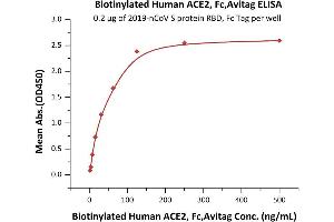 Immobilized 2019-nCoV S protein RBD, Fc Tag (ABIN6952455) at 2 μg/mL (100 μL/well) can bind Biotinylated Human ACE2, Fc,Avitag ( ABIN6952458) with a linear range of 2-63 ng/mL (QC tested).