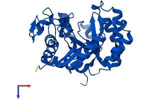 Protein Structure (PS) image for TatD DNase Domain Containing 1 (TATDN1) (AA 1-297) protein (His tag) (ABIN7544163)