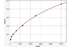 ALDH5A1 ELISA Kit