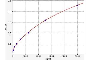 Typical standard curve (ALDH5A1 ELISA Kit)