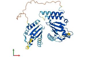 AlphaFold protein structure predicition of Mouse Recombinant Ube2q2 Protein, UniprotID Q8K2Z8 (UBE2Q2 Protein (AA 1-378) (His tag))