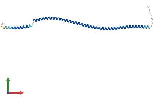 AlphaFold protein structure predicition of Human Recombinant SPATA24 Protein, UniprotID Q86W54