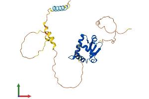 AlphaFold protein structure predicition of Human Recombinant SPIC Protein, UniprotID Q8N5J4