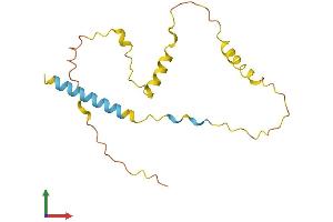 AlphaFold protein structure predicition of Human Recombinant CCDC140 Protein, UniprotID Q96MF4 (CCDC140 Protein (AA 1-163) (His tag))
