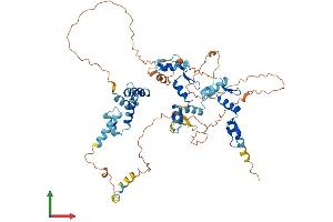 AlphaFold protein structure predicition of Human Recombinant ZNF394 Protein, UniprotID Q53GI3