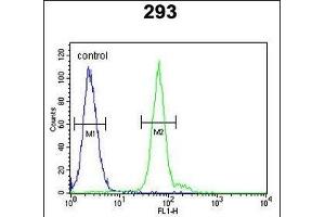ATG14 Antibody (Center) (ABIN650664 and ABIN2849827) flow cytometric analysis of 293 cells (right histogram) compared to a negative control cell (left histogram). (ATG14 antibody  (AA 162-190))