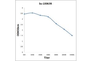 Antigen: 0. (LTB antibody  (AA 171-244))