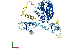 Protein Structure (PS) image for General Transcription Factor IIH, Polypeptide 2, 44kDa (GTF2H2) (AA 1-395) protein (His tag) (ABIN7544342)