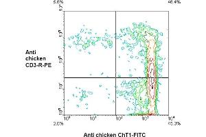 Flow Cytometry (FACS) image for anti-V-Set and Immunoglobulin Domain Containing 1 (VSIG1) antibody (FITC) (ABIN371445)